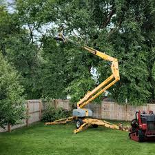 Professional Tree Removal in Owensville, IN