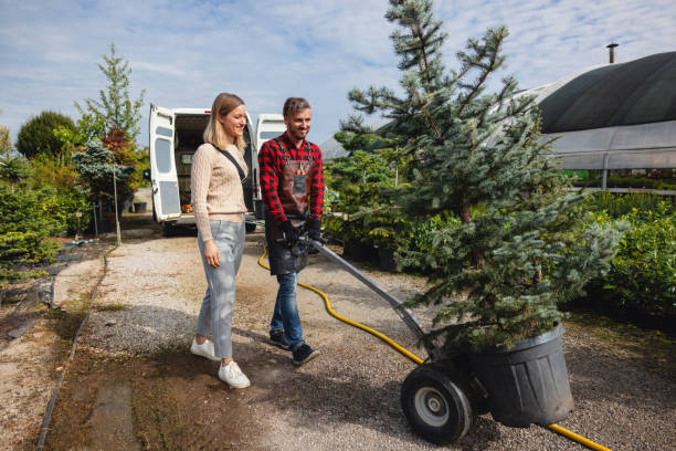 Best Storm Damage Tree Cleanup  in Owensville, IN